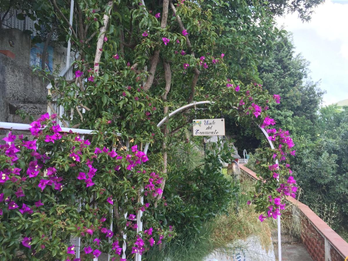 Villa Fuenti Bay -Amalfi Coast- Cetara Buitenkant foto